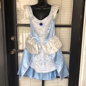 Adult Cinderella Dress